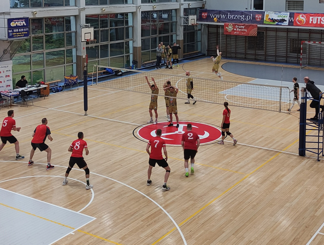 Siatkarze zaczynają play-off, koszykarze są na półmetku. Raport z naszych lig